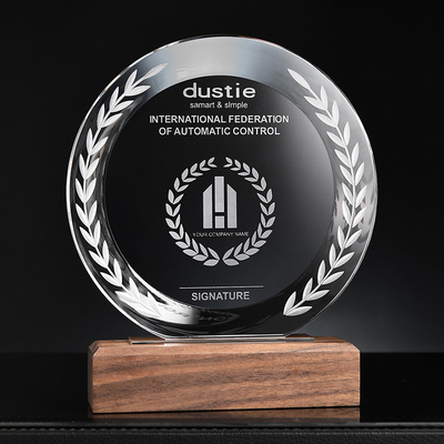 Houten basis aangepaste hars trofeeën gepersonaliseerde kristal trofee